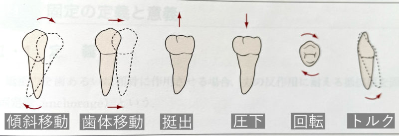歯の動きの種類