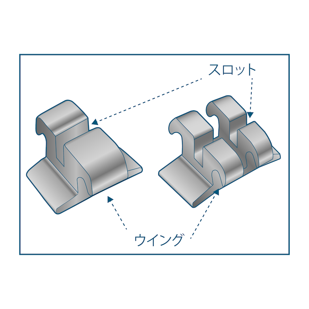 矯正治療/ブラケットの使用目的 | 旭川公園通り矯正歯科