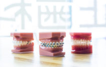 マルチブラケット装置